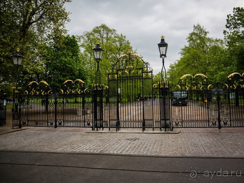 GREENWICH REGATTA 2017: ЛЮДИ, КОРАБЛИ, ЦВЕТЫ