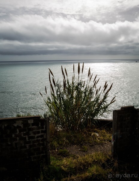 ФУНЧАЛ НА МАДЕЙРЕ