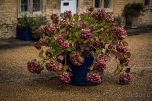 ВЫСТАВКА ЦВЕТОВ В BURGHLEY HOUSE