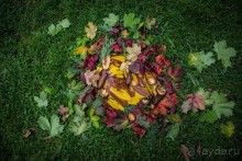 ВЫСТАВКА ЦВЕТОВ В BURGHLEY HOUSE