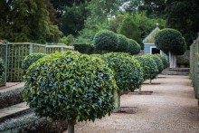 ВЫСТАВКА ЦВЕТОВ В BURGHLEY HOUSE