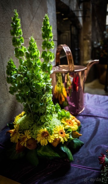 ВЫСТАВКА ЦВЕТОВ В BURGHLEY HOUSE