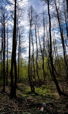 КАЛУГА УТРОМ В АПРЕЛЕ