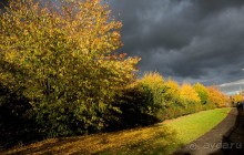 ЯРМАРКА В НОЯБРЕ