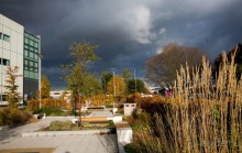 ЯРМАРКА В НОЯБРЕ