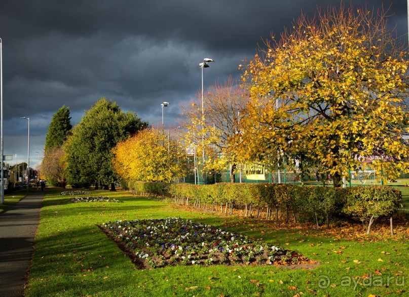 ЯРМАРКА В НОЯБРЕ