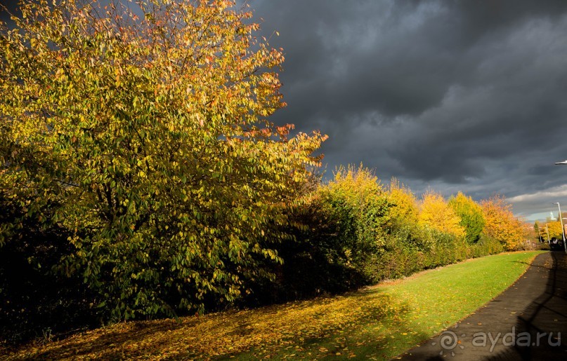 ЯРМАРКА В НОЯБРЕ