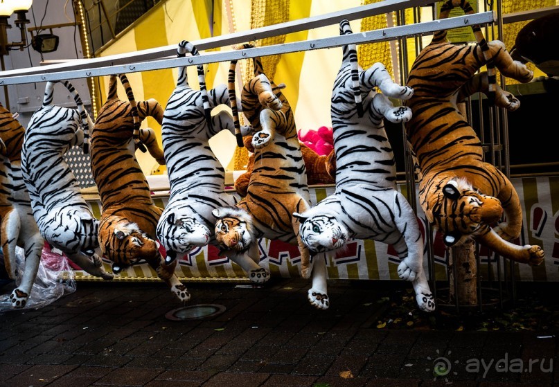 ЯРМАРКА В НОЯБРЕ