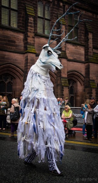 ЛЕТНИЙ ПАРАД В ЧЕСТЕРЕ 2015