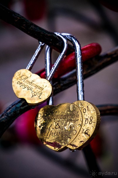 фото Смоленска