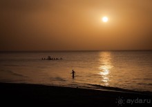 Альбом отзыва "МЕРТВОЕ МОРЕ - МОРЕ, СОЛЬ, ЦВЕТЫ И ПТИЦЫ"