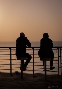 Альбом отзыва "МЕРТВОЕ МОРЕ - МОРЕ, СОЛЬ, ЦВЕТЫ И ПТИЦЫ"