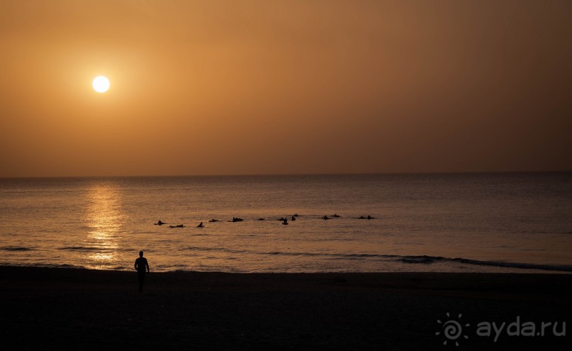 МЕРТВОЕ МОРЕ - МОРЕ, СОЛЬ, ЦВЕТЫ И ПТИЦЫ