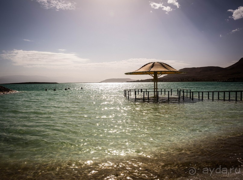 МЕРТВОЕ МОРЕ - МОРЕ, СОЛЬ, ЦВЕТЫ И ПТИЦЫ