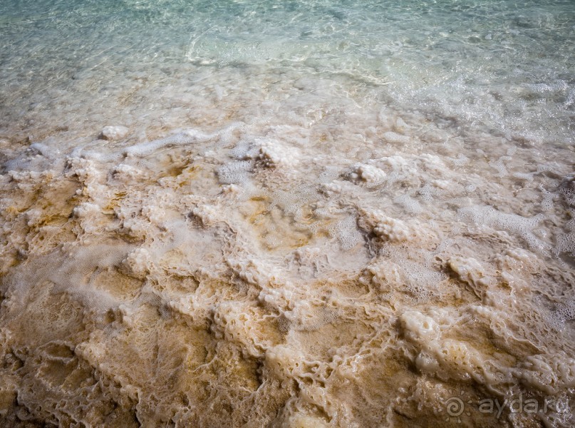 МЕРТВОЕ МОРЕ - МОРЕ, СОЛЬ, ЦВЕТЫ И ПТИЦЫ