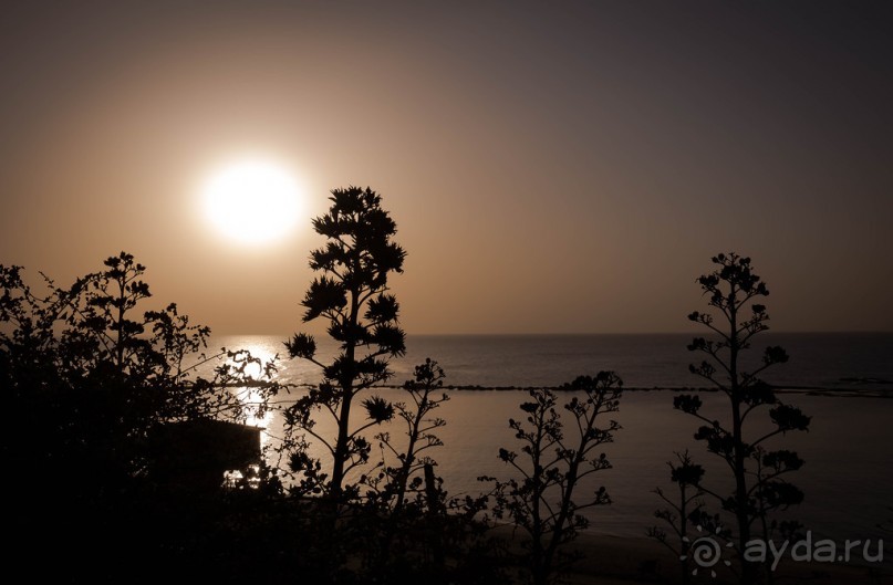 МЕРТВОЕ МОРЕ - МОРЕ, СОЛЬ, ЦВЕТЫ И ПТИЦЫ