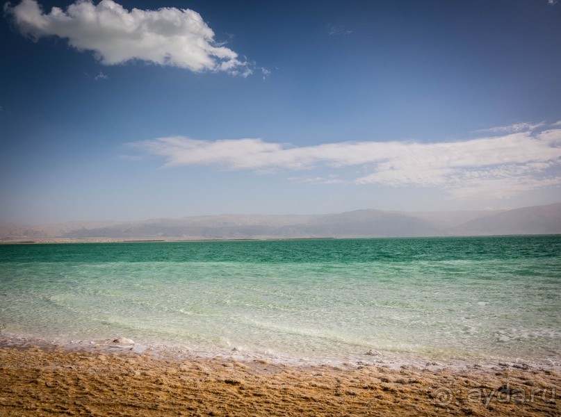 МЕРТВОЕ МОРЕ - МОРЕ, СОЛЬ, ЦВЕТЫ И ПТИЦЫ