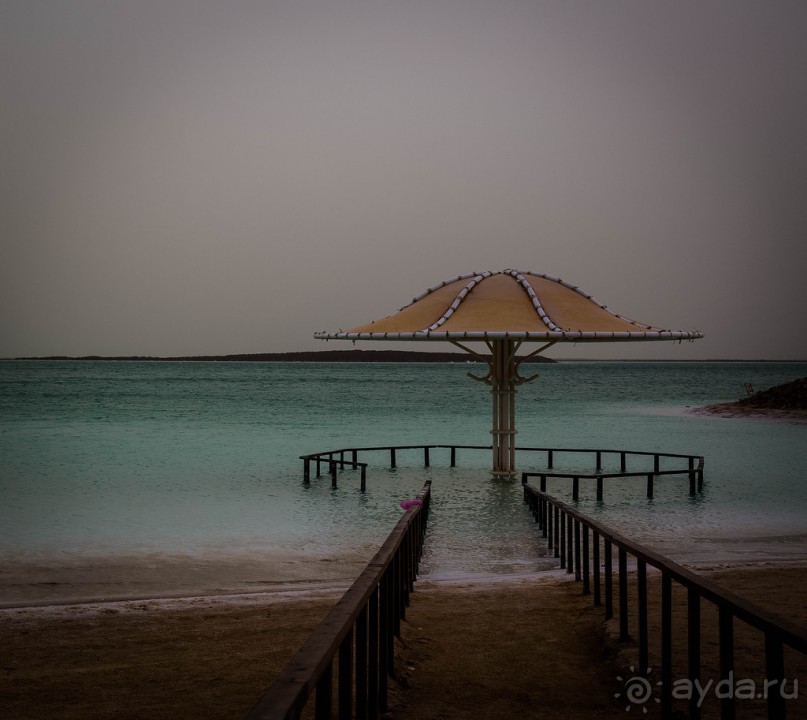 МЕРТВОЕ МОРЕ - МОРЕ, СОЛЬ, ЦВЕТЫ И ПТИЦЫ