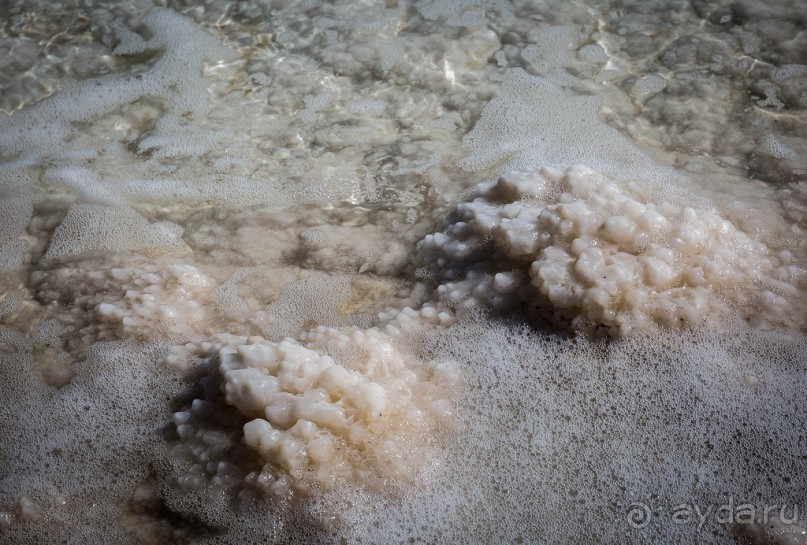 МЕРТВОЕ МОРЕ - МОРЕ, СОЛЬ, ЦВЕТЫ И ПТИЦЫ