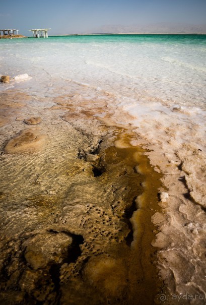 МЕРТВОЕ МОРЕ - МОРЕ, СОЛЬ, ЦВЕТЫ И ПТИЦЫ