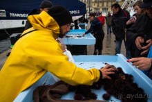 РЫБНЫЙ РЫНОК В МАРСЕЛЕ