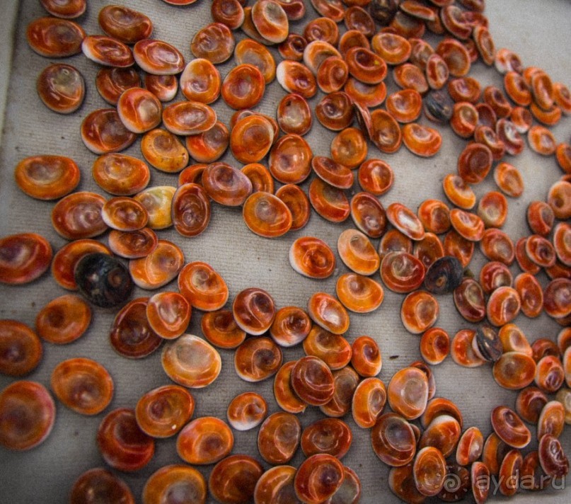 РЫБНЫЙ РЫНОК В МАРСЕЛЕ