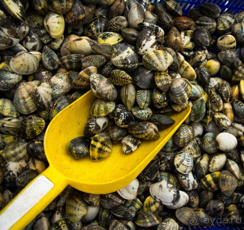 РЫБНЫЙ РЫНОК В МАРСЕЛЕ