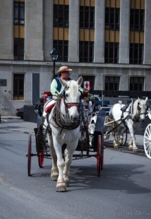 МОНРЕАЛЬ - ПРОГУЛКА УТРОМ. КАНАДА, МОНРЕАЛЬ. ЛЮДИ НА УЛИЦАХ