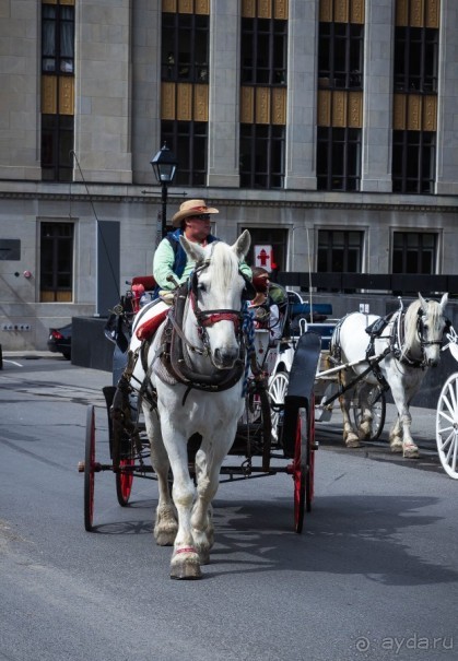МОНРЕАЛЬ - ПРОГУЛКА УТРОМ. КАНАДА, МОНРЕАЛЬ. ЛЮДИ НА УЛИЦАХ