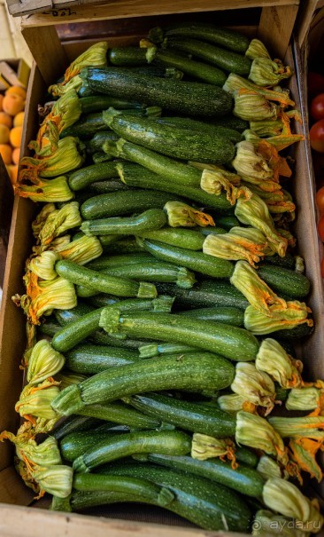 ГАЛИПОЛИ В ИТАЛИИ