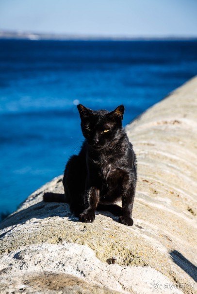 ГАЛИПОЛИ В ИТАЛИИ