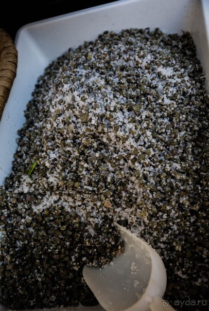 ГАЛИПОЛИ В ИТАЛИИ