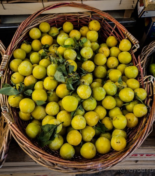 ГАЛИПОЛИ В ИТАЛИИ