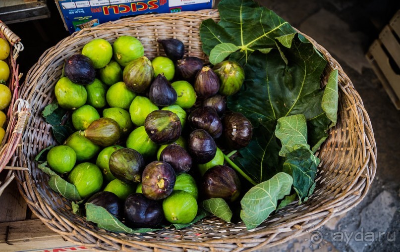 ГАЛИПОЛИ В ИТАЛИИ