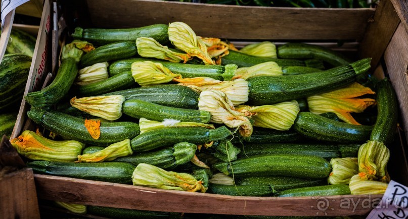 ГАЛИПОЛИ В ИТАЛИИ