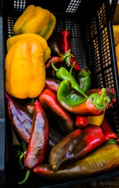 ГАЛИПОЛИ В ИТАЛИИ