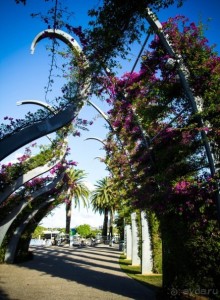 ПРОГУЛКА ВДОЛЬ РЕКИ В БРИСБЕНЕ И КАФЕ В МУЗЕЕ