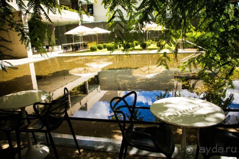 ПРОГУЛКА ВДОЛЬ РЕКИ В БРИСБЕНЕ И КАФЕ В МУЗЕЕ