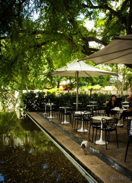 фото Брисбена