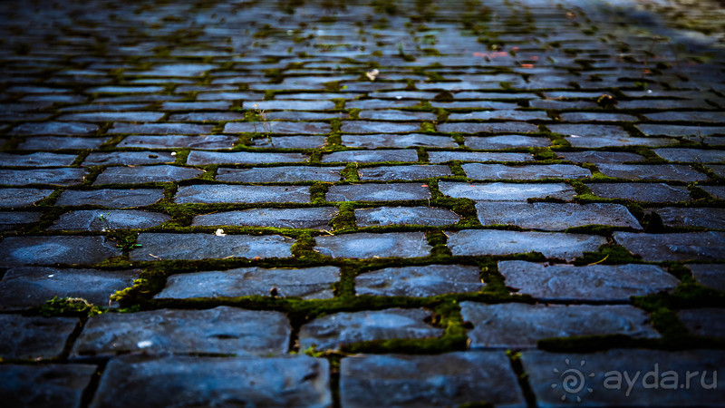 КОСТРОМА В НАЧАЛЕ НОЯБРЯ