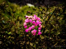 КОСТРОМА В НАЧАЛЕ НОЯБРЯ