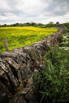 Альбом отзыва "WELL-DRESSING - ДЕРЕВНЯ TISSINGTON"
