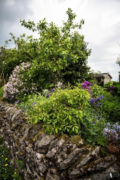 Альбом отзыва "WELL-DRESSING - ДЕРЕВНЯ TISSINGTON"