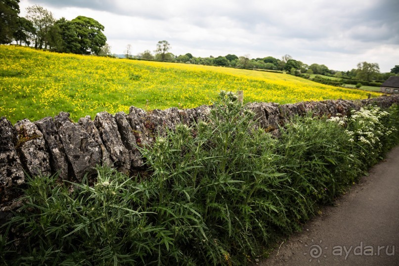WELL-DRESSING - ДЕРЕВНЯ TISSINGTON