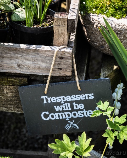 WELL-DRESSING - ДЕРЕВНЯ TISSINGTON