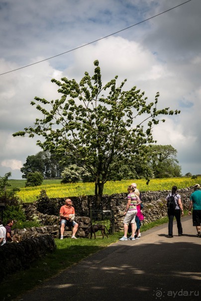 WELL-DRESSING - ДЕРЕВНЯ TISSINGTON