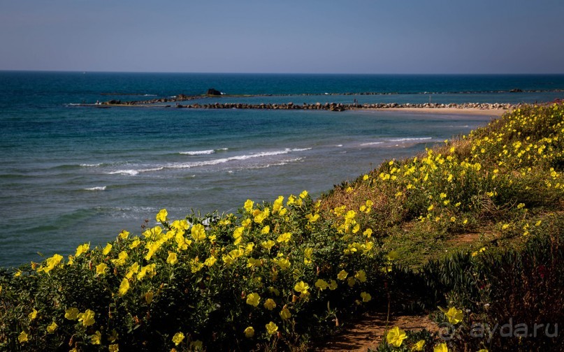 БАТ ЯМ - ВДОЛЬ БЕРЕГА МОРЯ