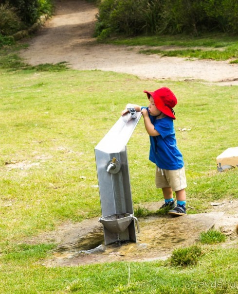 РАЗНЫЕ ЛЮДИ