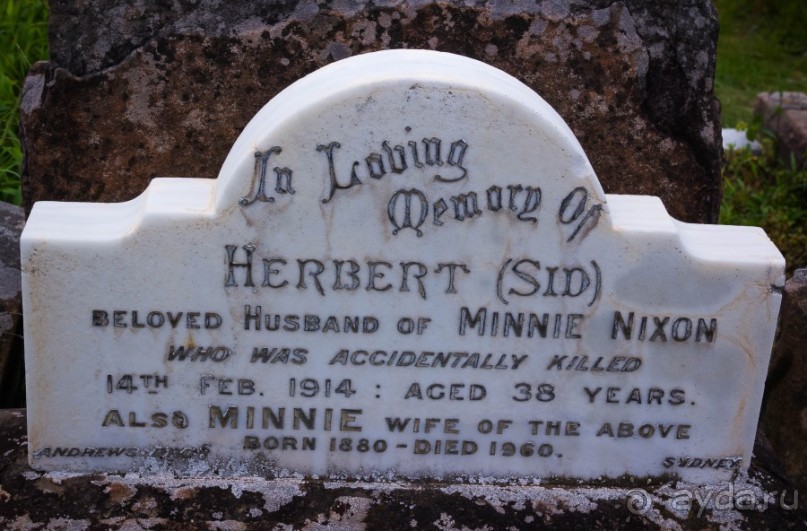 ПРОГУЛКА ВДОЛЬ БЕРЕГА ОКЕАНА В СИДНЕЕ - COASTAL WALK