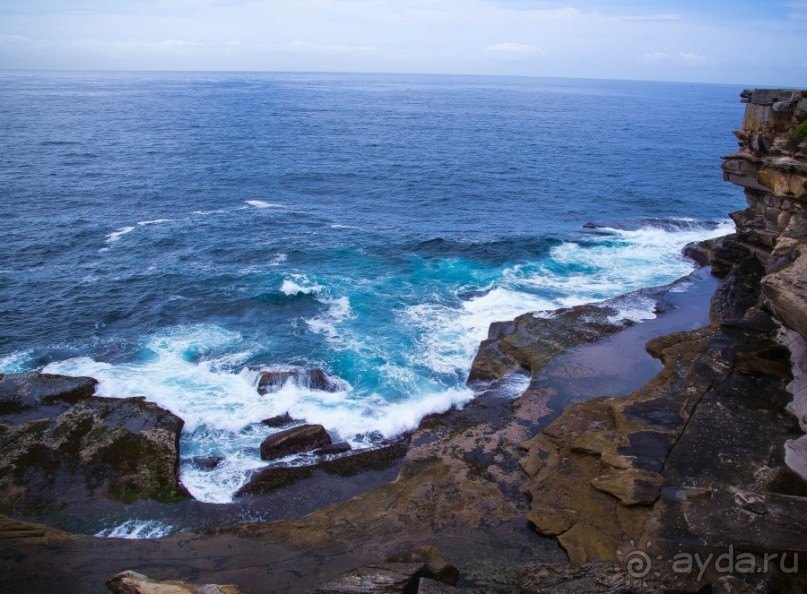 ПРОГУЛКА ВДОЛЬ БЕРЕГА ОКЕАНА В СИДНЕЕ - COASTAL WALK